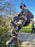 Solidur TreeClimb Boots