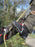 Solidur TreeClimb Boots