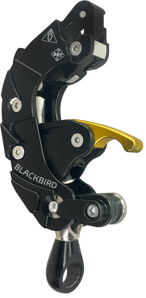ART Blackbird