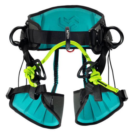 Notch Catalyst Harness