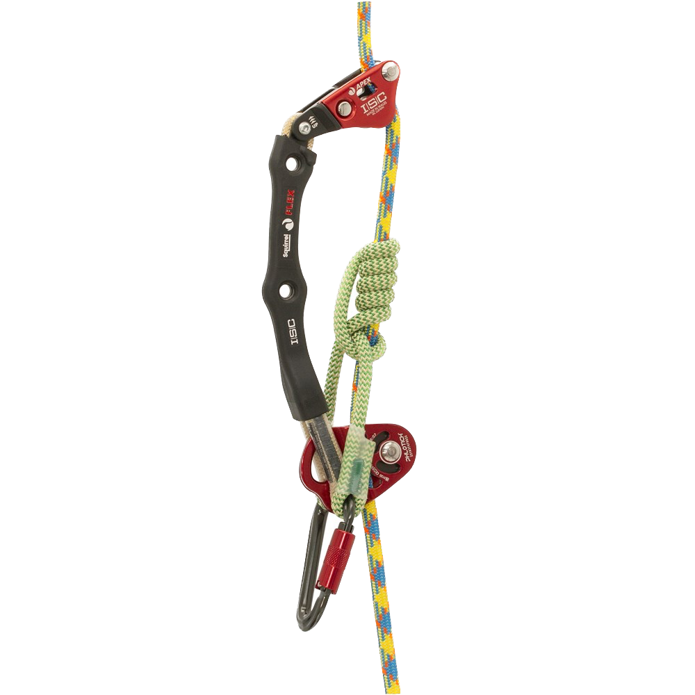 ISC Apex System