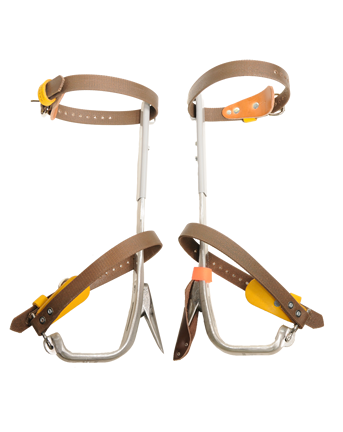 BASHLIN TREE CLIMBER SET