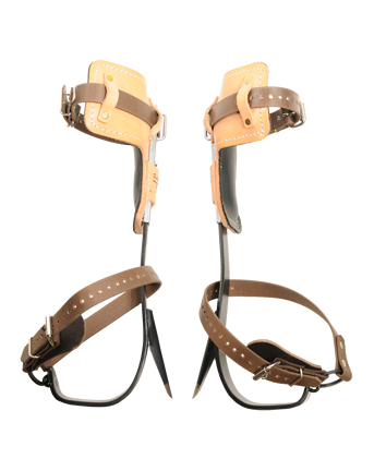 BUCKINGHAM TREE CLIMBER SET