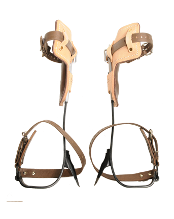 BUCKINGHAM TREE CLIMBER SET