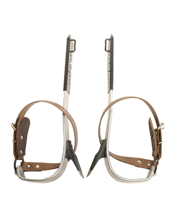 BUCKLITE TREE CLIMBER SET