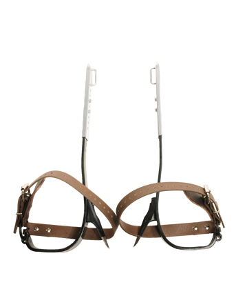 BUCKINGHAM TREE CLIMBER SET