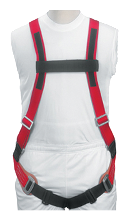 Buckingham H-Style Full Body Harness Web Dorsal Loop