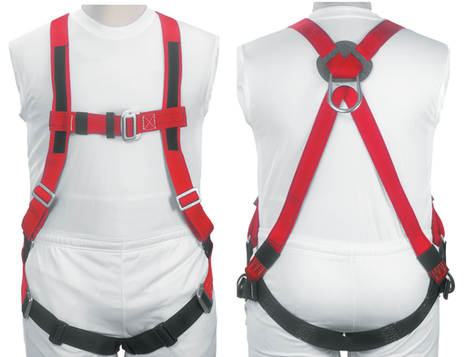 Buckingham H-Style Full Body Harness Steel Dorsal Dee