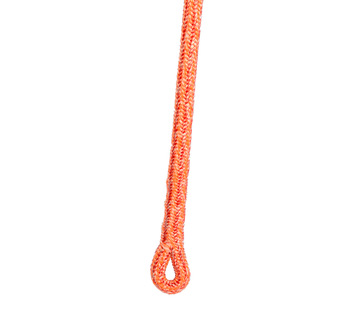 VORTEX ROPE, HOT