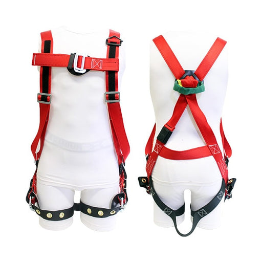 BUCKINGHAM H-STYLE FULL BODY HARNESS