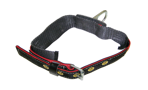 Body Belt