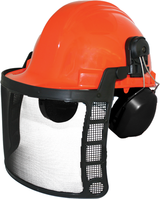 LOGGER HELMET SYSTEM